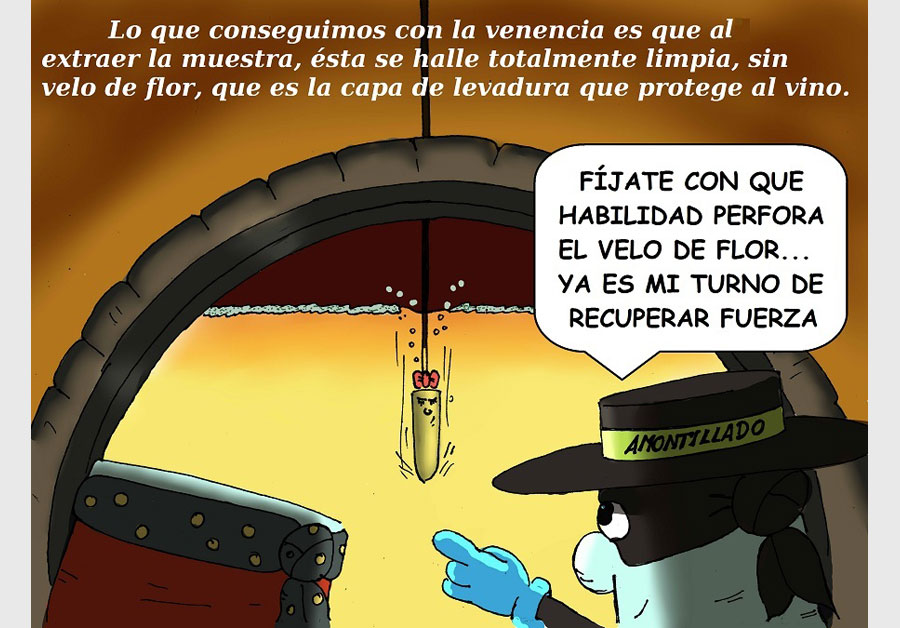 avenencia6