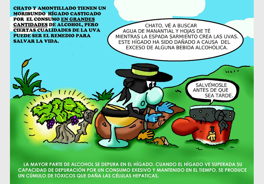 consumo-moderado3